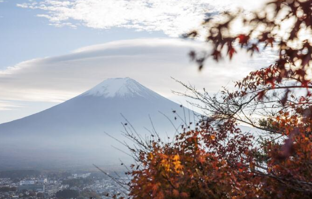 日本驻华大使馆：6月19日起，发行单次电子签！