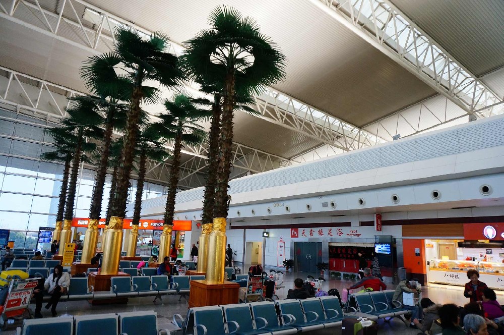 航班大幅放量 需求持续走旺 武汉天河机场将迎史上最强航班恢复季