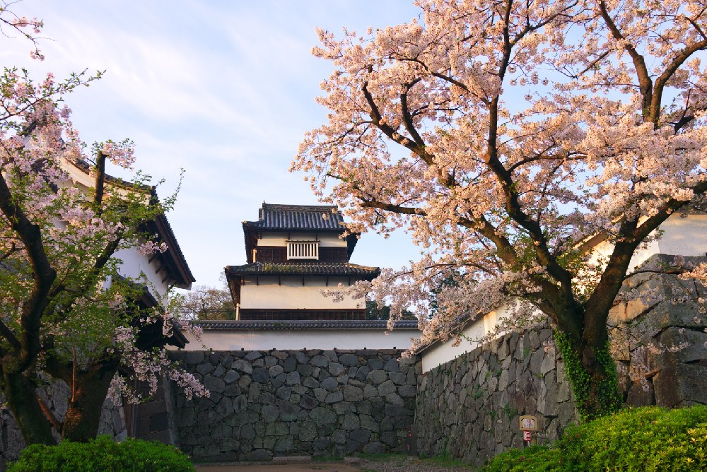 浙江宁波首次开通往返日本福冈航线