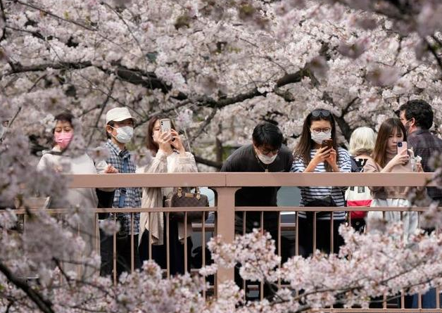 日媒：中国拟开放赴日团队游