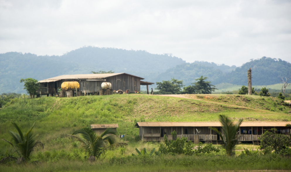 中国驻加蓬使馆启动重大突发事件应急机制 提醒公民注意