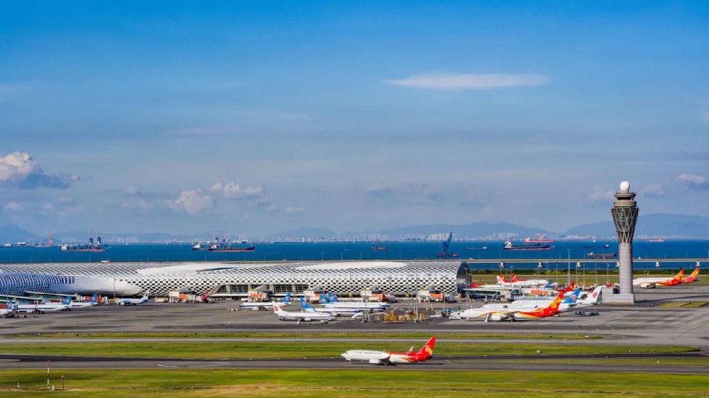 深航11月国际航班计划公布